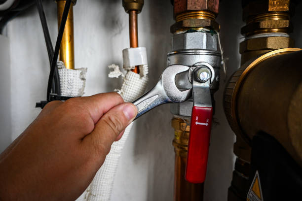 Best Clogged Drain Plumber  in Niagara University, NY